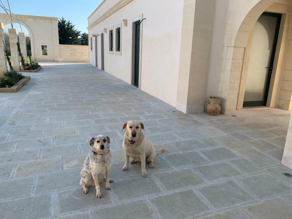 Bioagriturismo Messer Gesualdo Nociglia ภายนอก รูปภาพ